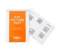 Kay Picture Test Screening Book