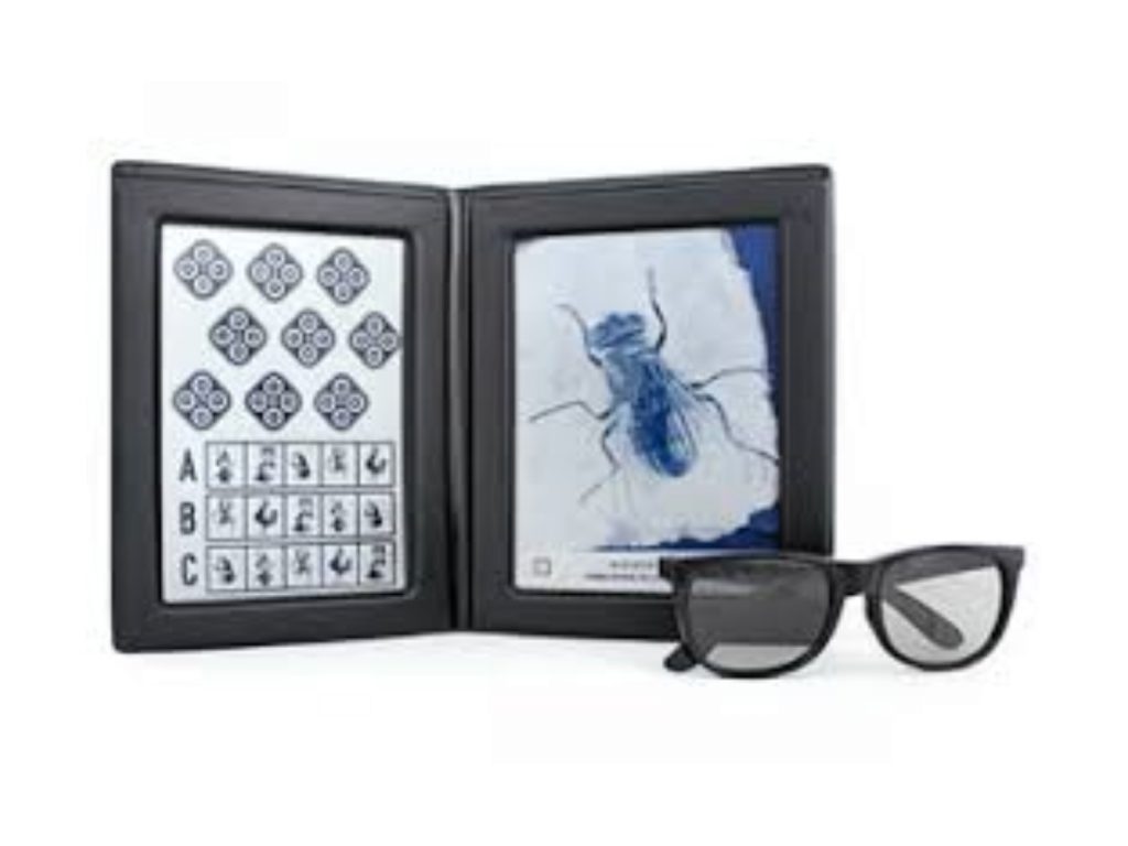 Titmus Fly Test - Birmingham Optical